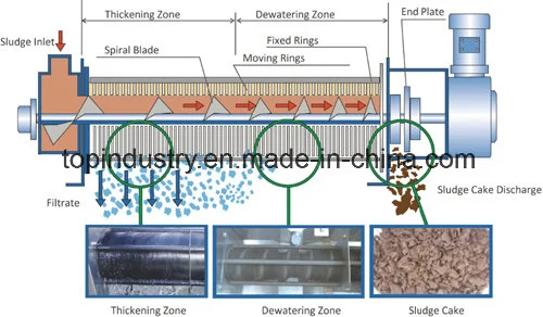 Sludge Dewatering Equipment Machine for Wastewater Treatment